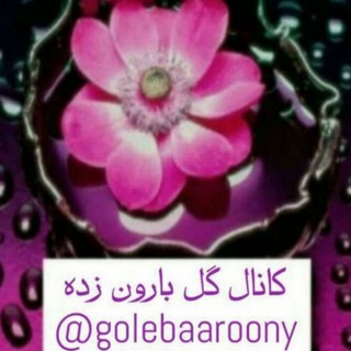 🎧 گــ🌸ـل بـارونــ زدهـ