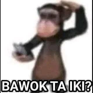 DexSubakti
