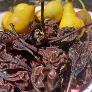 Копченые фрукты и наборы для настоек 🍐🍷