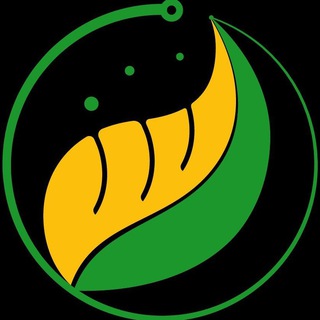 Bitfarmings Global Chat