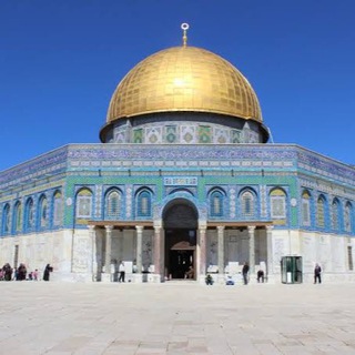 قناة زين خير الله الرسمية
