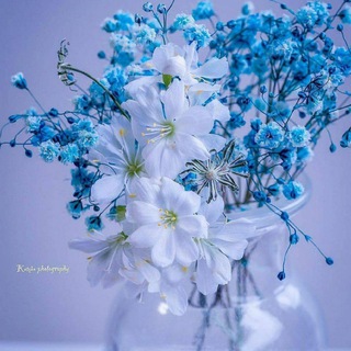 TABIAT MANZARALARI🎄