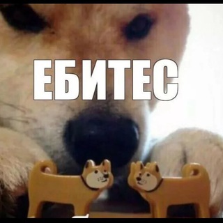 Мемная качалка Chat