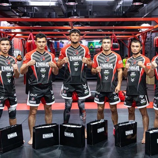 🥊MMA FIGHT Team MMA🥊