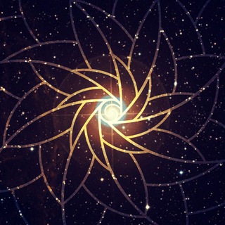 Enlite