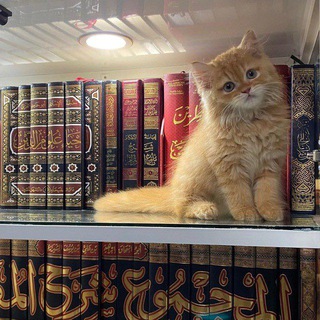 ْ ٭. ​​​​​​​​​​​​​​​​​​​ .
