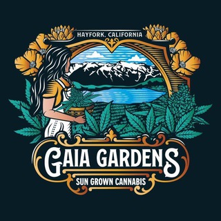 🌈亞洲大麻交流群-420大麻煙油LSD迷幻THC（台灣香港中国）