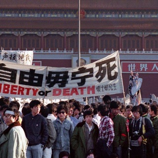 赛里斯自由解放联盟🛡️🗡️