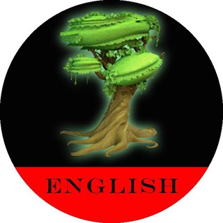 48-MagicForest-EN 🅥