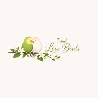 𝗧𝗔𝗠𝗜𝗟 𝗟𝗢𝗩𝗘 𝗕𝗜𝗥𝗗𝗦 ❤🐦