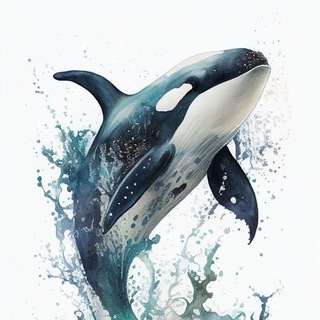 WHALES CHATS 🚀