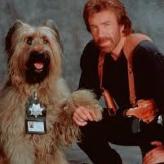 Chuck Norris Top Dog - Reno | Portal
