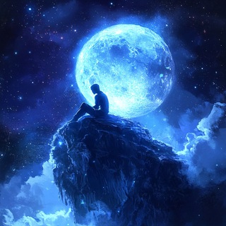 Crypto RankUP to the Moon🚀