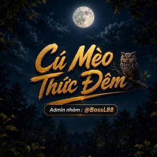 CÚ MÈO THỨC ĐÊM