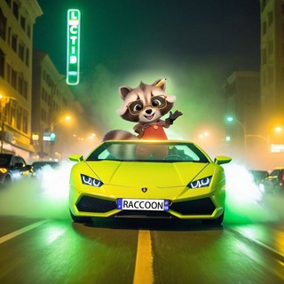 Raccoon Admin