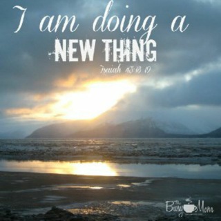 THE NEW THING FOR YOU