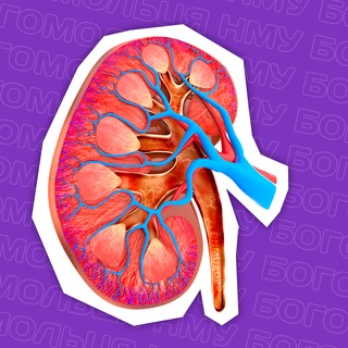 MEDIUS | 5 КУРС