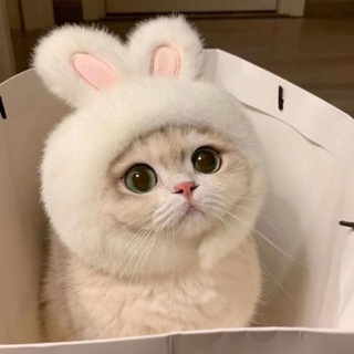 Ксения