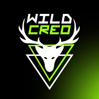 WILD CREO🦌| КРЕАТИВИ › VIDEO CREATIVES FOR ADS › WEB DESIGN › AFFILIATE › BANNERS › UGC › PLAYABLE