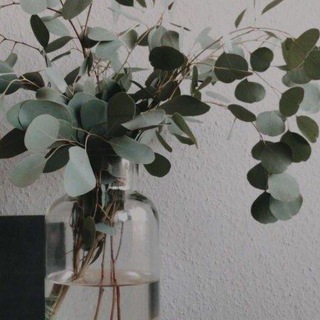 لله نمضي|💚🌿
