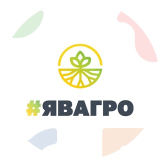 Чат конкурса Студент года в Агро