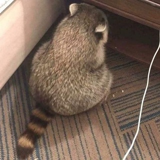  仨廾口丅