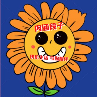 搞笑内涵-段