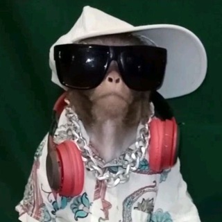 DENZYxPUBG