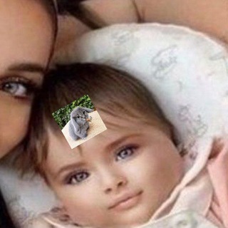 дедная ! 🦭 ᶜʰᵗᵐ