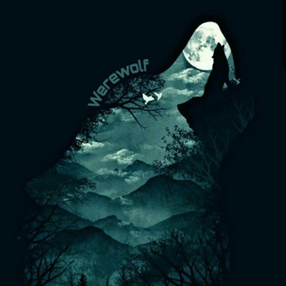 🌙Werewolf ᵒᶠᶠ⁻ᵗᵒᵖᶦᶜ🌙
