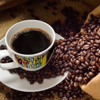 bunnacode ☕ + 💻