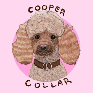 COOPER COLLAR| менеджер