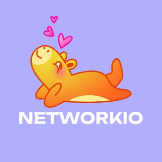 Networkio | Дополнительные услуги Клиентский сервис: учеба, саморазвитие