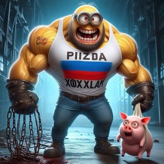 30529