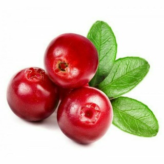 The Fairy Berry🍒