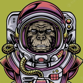 SPACE MONKEY bot