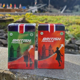British Propolis Jatim 🐝