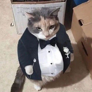 дима