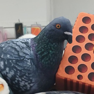 че