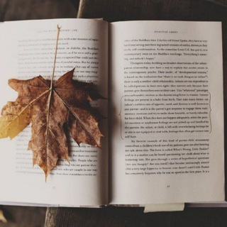 Book Lover