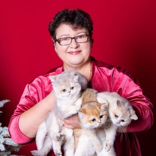 Ирина Golden Luck