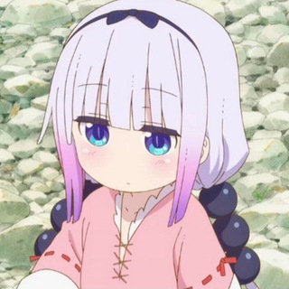 康娜主频道