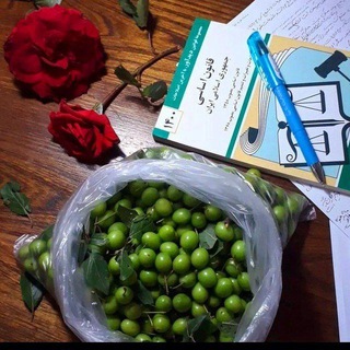 استخدامی دبیری و آموزگاری🎓