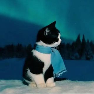 Сережа