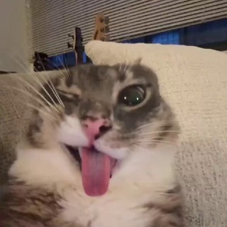 Даниил
