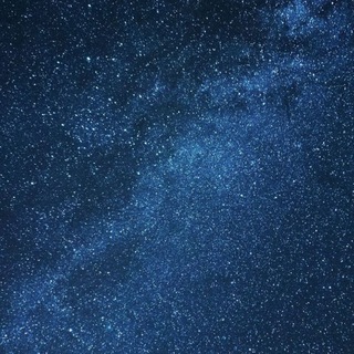365 nights