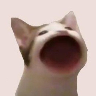 $POPCAT SOLANA