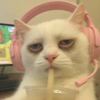 𝐒𝐀𝐊𝐔𝐑𝐀 𝐌𝐔𝐓𝐔𝐀𝐋𝐀𝐍