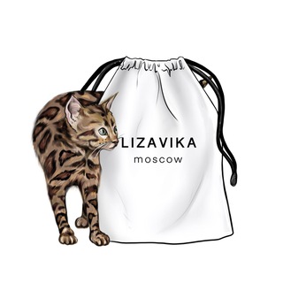 LIZAVIKA Store