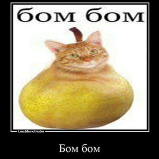 🍐Бом бом предложка🍐